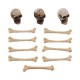 Idea-ology Tim Holtz Halloween Skulls + Bones