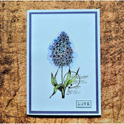 AALL & Create A& Stamp Set 995 Miracle Growth