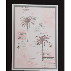 AALL & Create A& Stamp Set 995 Miracle Growth