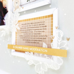 Florileges Fustella GRAND CADRE CARRÉ 3D - CORNICE 3d