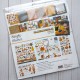 Simple Stories Acorn Lane Collector's Essential Kit