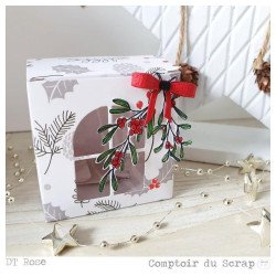 Fustella Comptoir du Scrap Scatola con Finestra