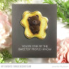 My Favorite Things Sweet Honey Bear Clear Stamps