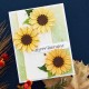 Spellbinders Sunflower Serenade Etched Dies