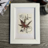 AALL & Create Stamp Set A7 1006 For Acer