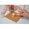 Studio Light Wax Seal Starter Kit