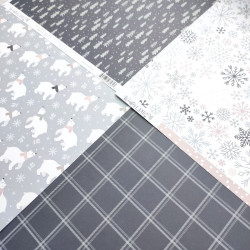 Echo Park Winterland Collection Kit 30x30cm