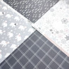 Echo Park Winterland Collection Kit 30x30cm