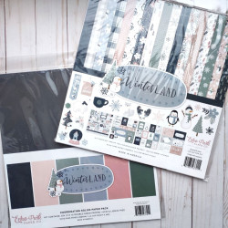 Echo Park Winterland Coordinating Solids Paper Pack 30x30cm