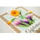 Marianne Design Creatables Tiny's Crocus XL