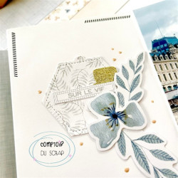 Compoir Du Scrap Douceur Givrée COCOONING Die Cuts