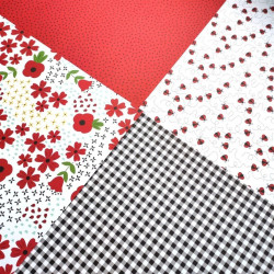 Echo Park Little Ladybug Collection Kit 30x30cm