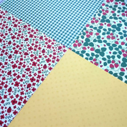 Echo Park Little Ladybug Collection Kit 30x30cm