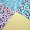 Echo Park Little Ladybug Collection Kit 30x30cm