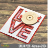 YupplaCraft Legnetti Amore a 33 Giri