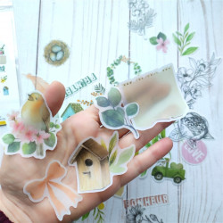 Les Ateliers de Karine Mimosa Forever VELLUM Die Cuts 35pz