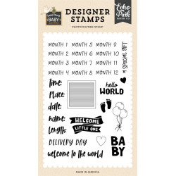 Echo Park Baby Stats Designer Stamps