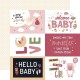 Echo Park Special Delivery Baby Girl Collection Kit 30x30cm