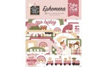 Echo Park Special Delivery Baby Girl Ephemera 33pz