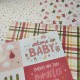 Echo Park Special Delivery Baby Girl Collection Kit 30x30cm