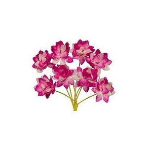 Altri fiori